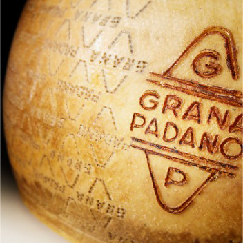 Close up Grana Padano