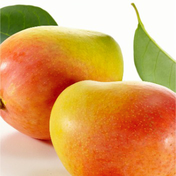 mango chiuso