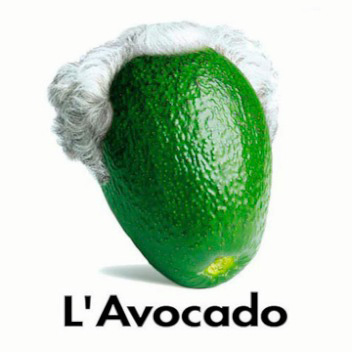 l'avocado copia