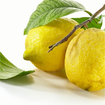 limone chiuso